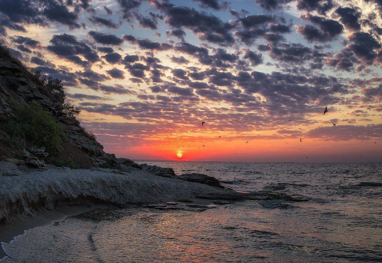 , Игорь Мелекесцев