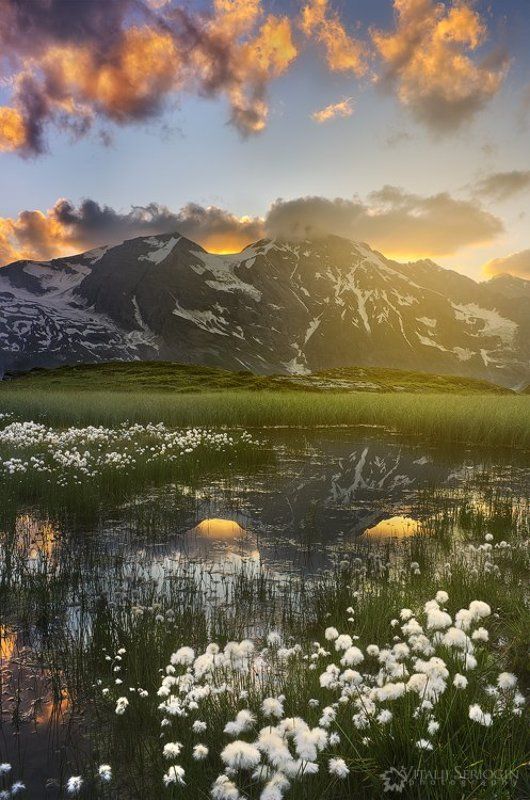 Альпийские болота фото превью