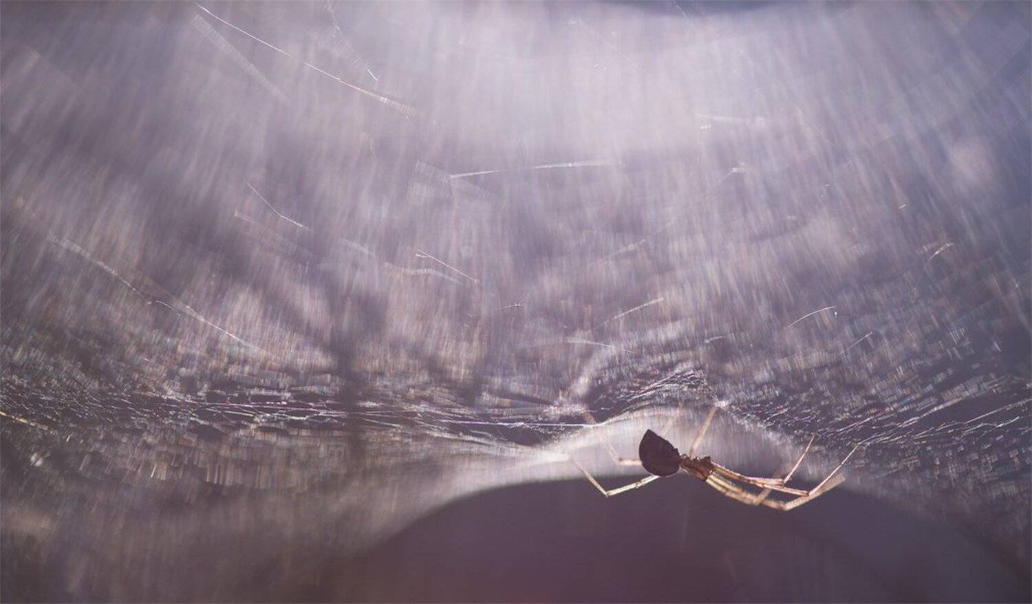 , Геннадий Мещеряков