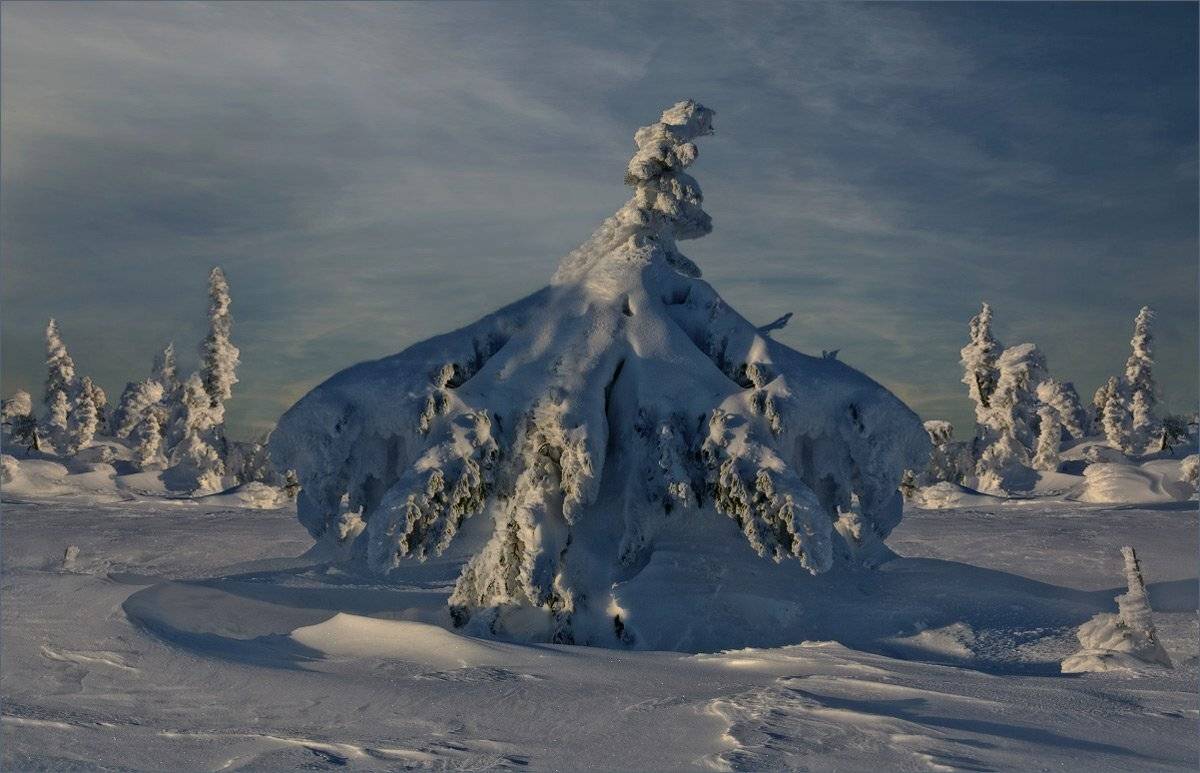 , Александр Гусаков