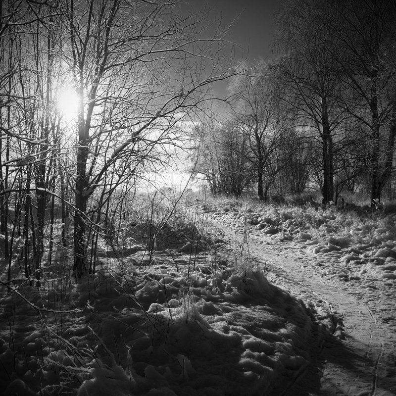 финский, залив *** фото превью