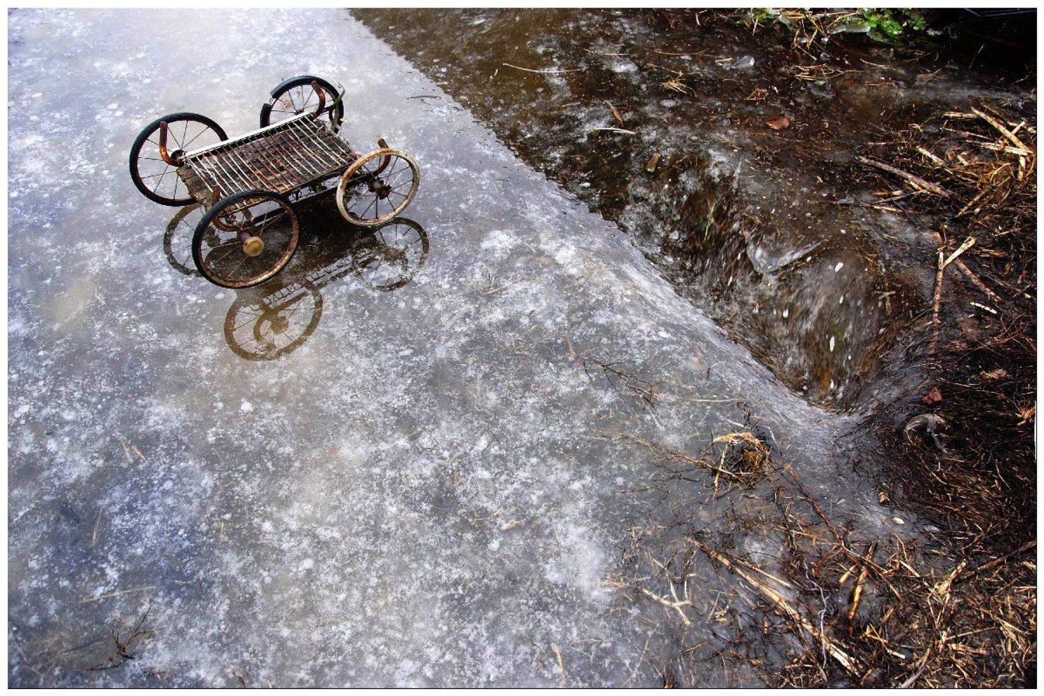 , Денис Воронин