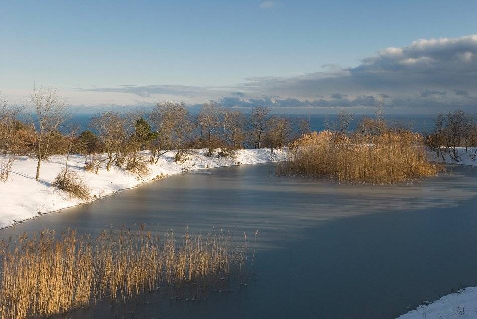 , Саша  Вайсберг / Waldschnepfe /