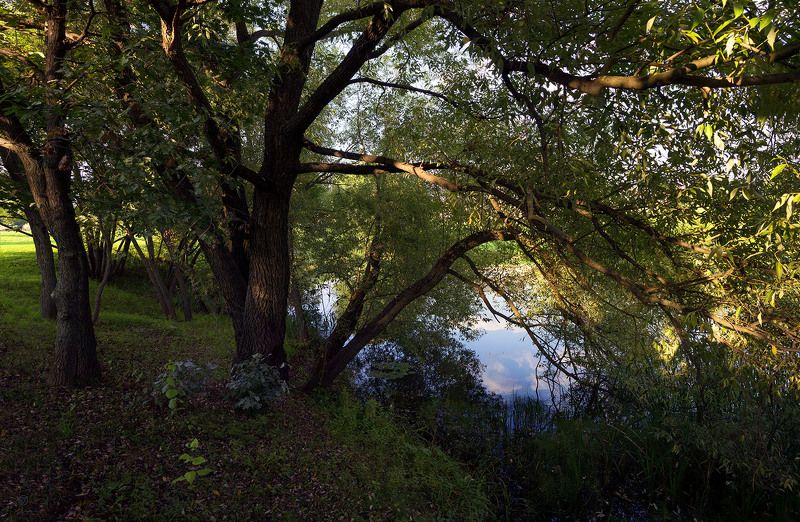 На самом юге Москвы фото превью