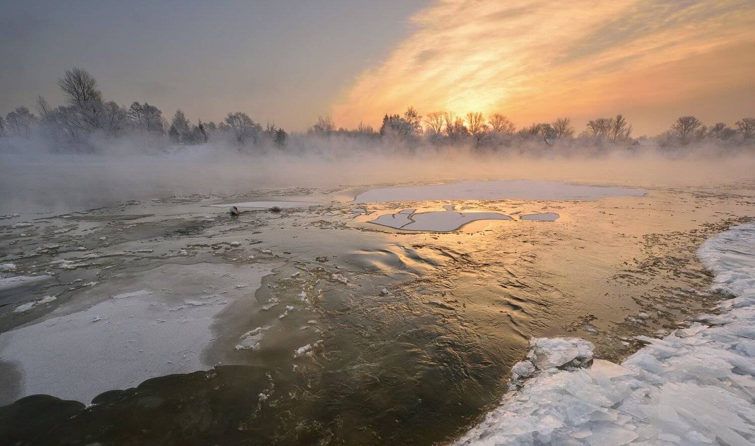 , Максим Евдокимов