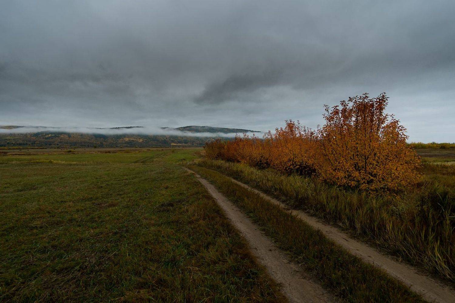 , Комеров Роман