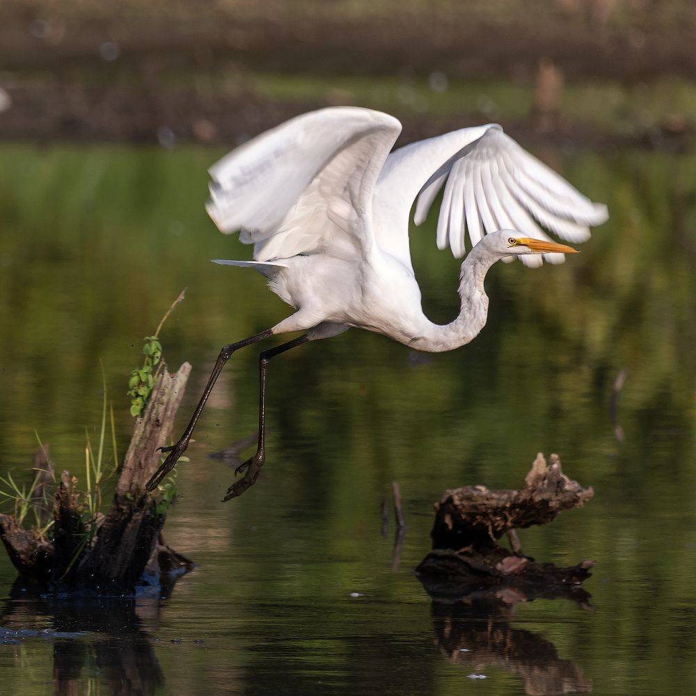 , Леонид Дьяченко