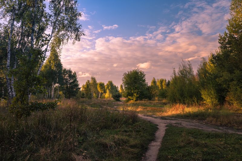 луг, осень, сентябрь, вечер, закат Сентябрьский вечер догорает и месяц в небе выплывает фото превью