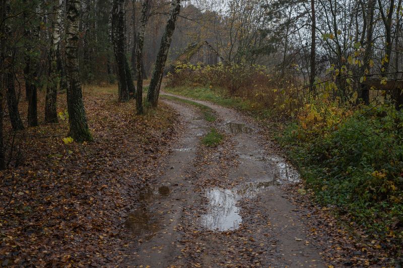 ноябрьская прогулка... фото превью