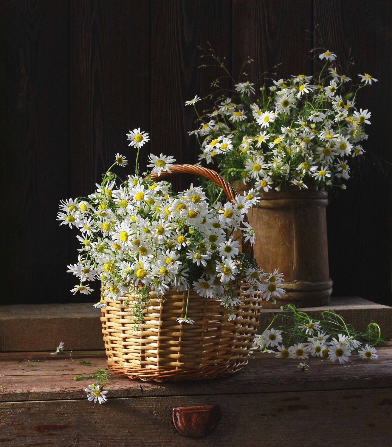 натюрморт, фотонатюрморт, лето, мёд, цветы, ромашки, наталья казанцева, Наталья Казанцева