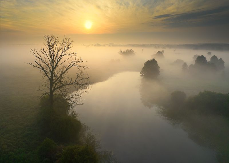 Sunrice фото превью