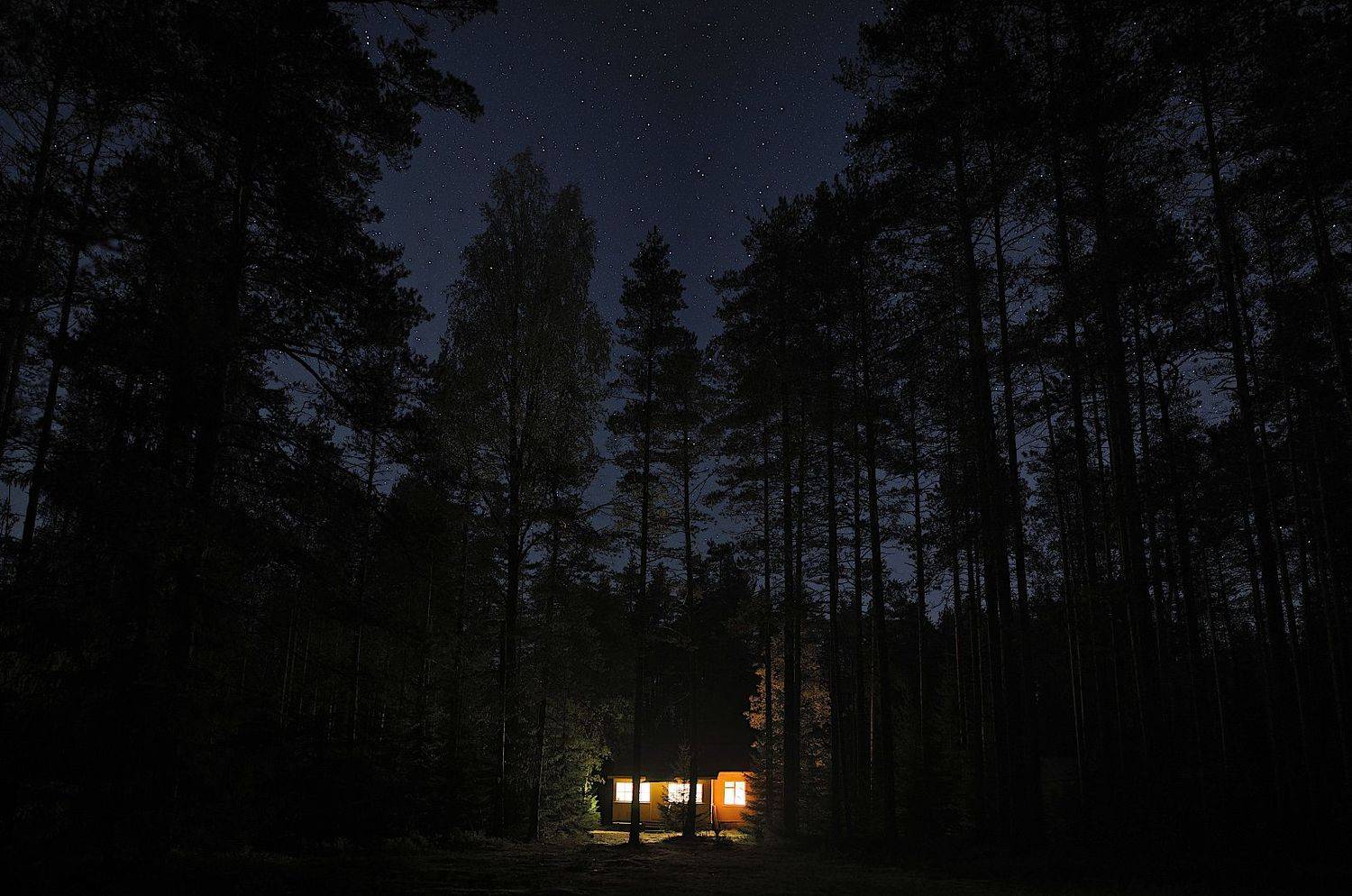 лес, ночь, карелия, Александр Зорин