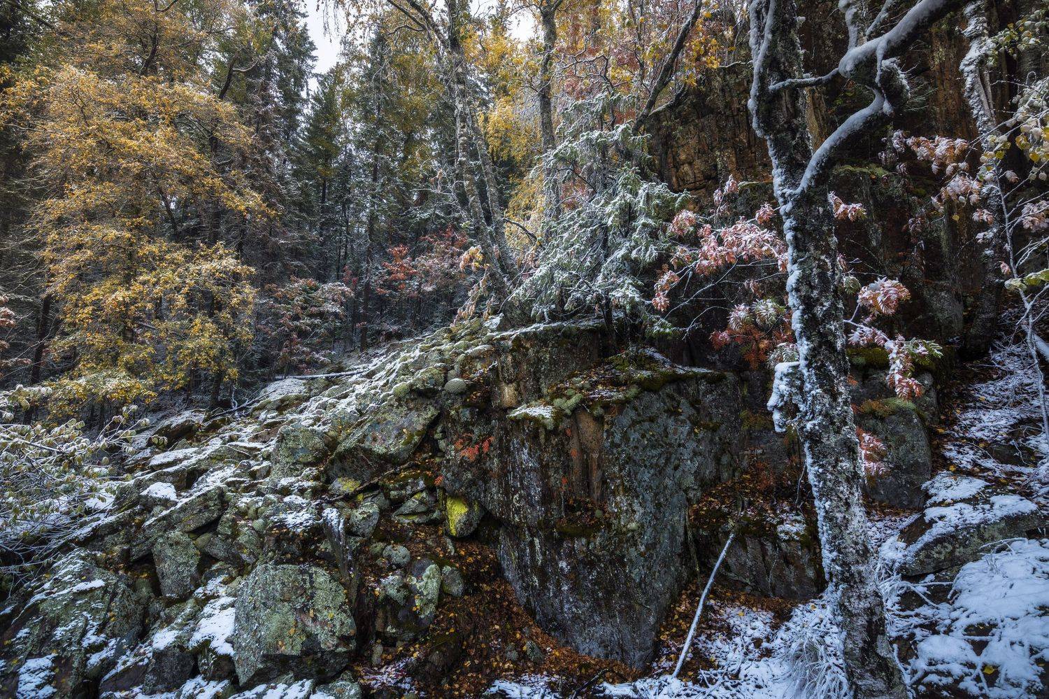 , Андрей Шарапов