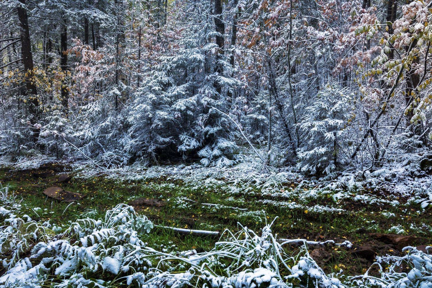 , Андрей Шарапов