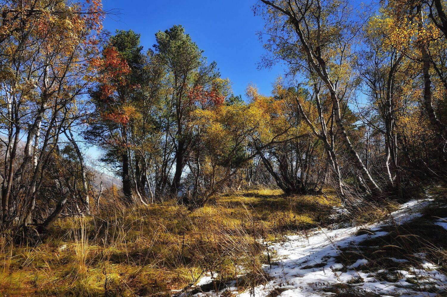 , Владимир Кулаков
