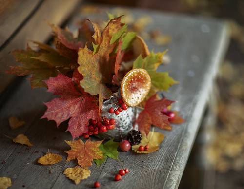 Осенний этюд