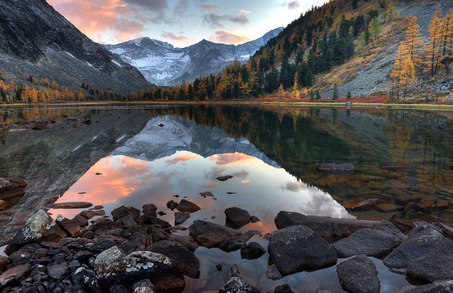 , Алексей Родак