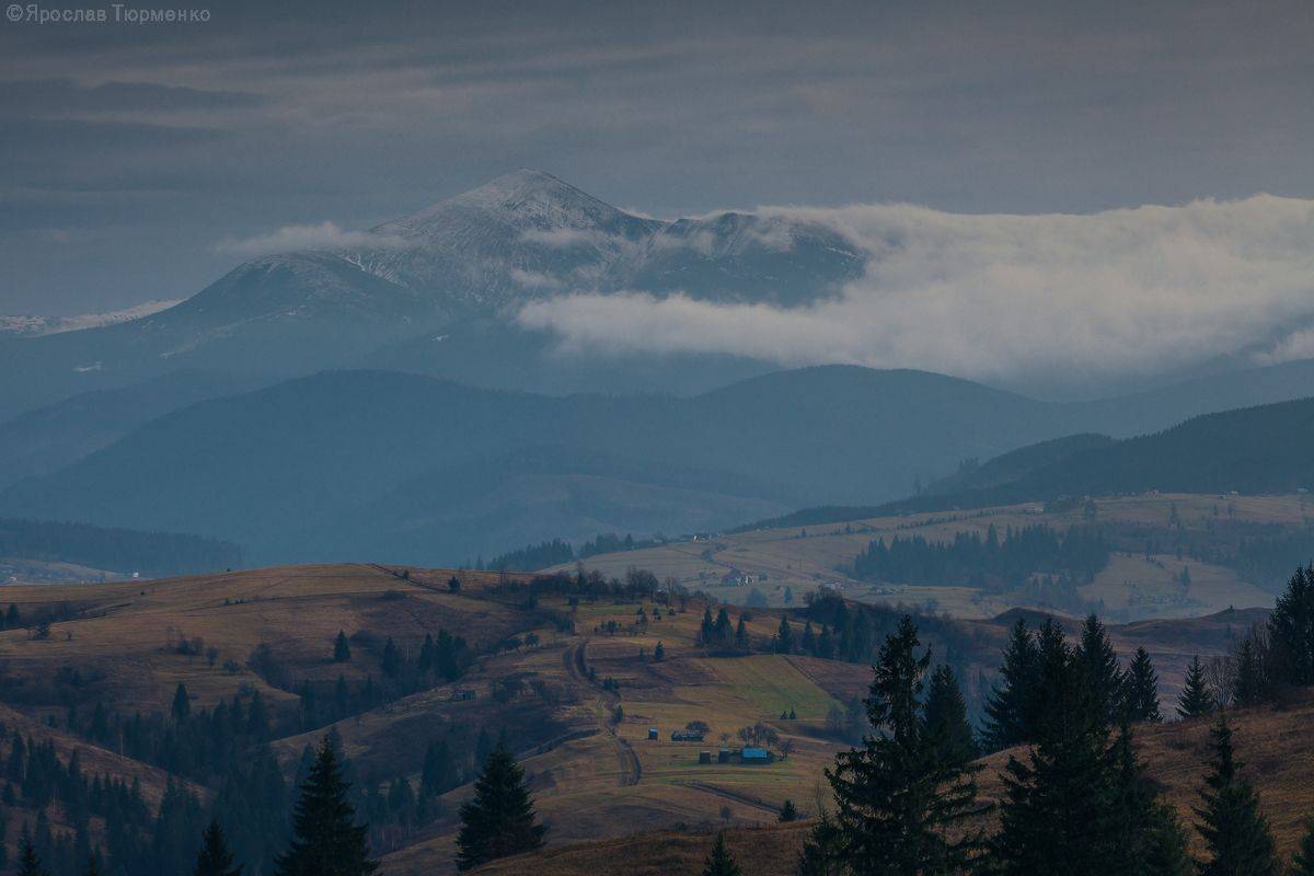 , Ярослав Тюрменко (Jaremi)