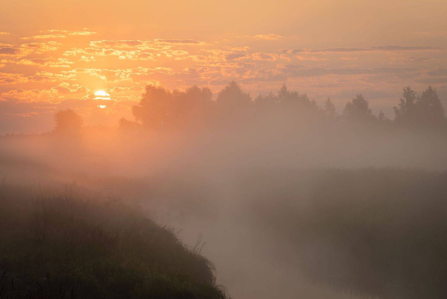 , Дмитрий Захаров