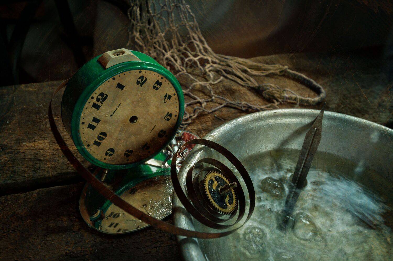 , Ирина Данилова