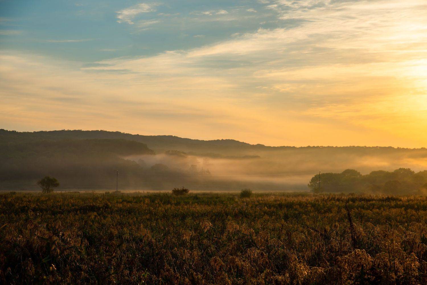 рассвет, пейзаж, туман, поле, осень, Константин Костин