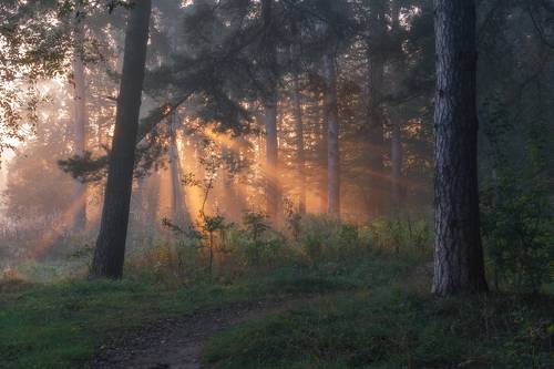Утро сентября