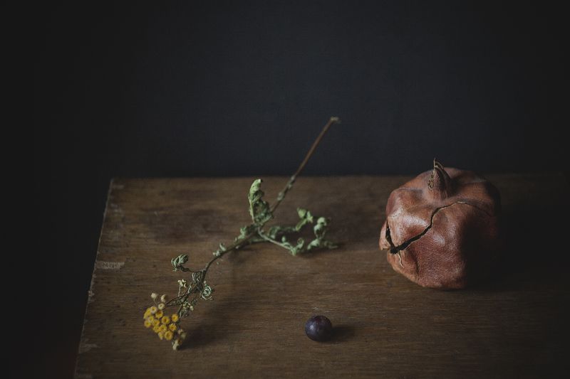 натюрморт, минимализм вздохи осени фото превью