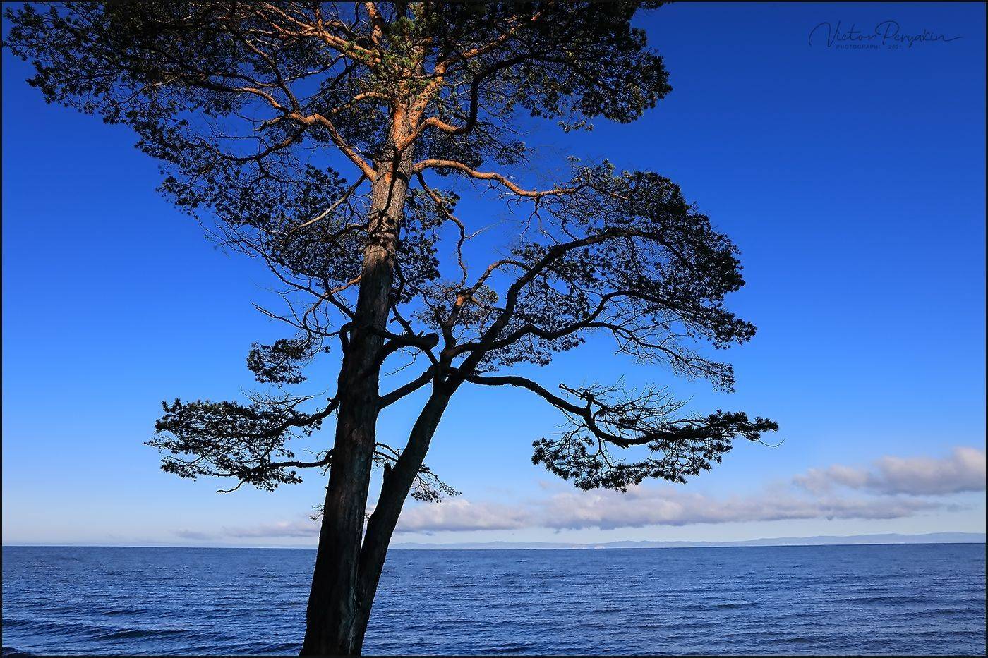 , Виктор Перякин