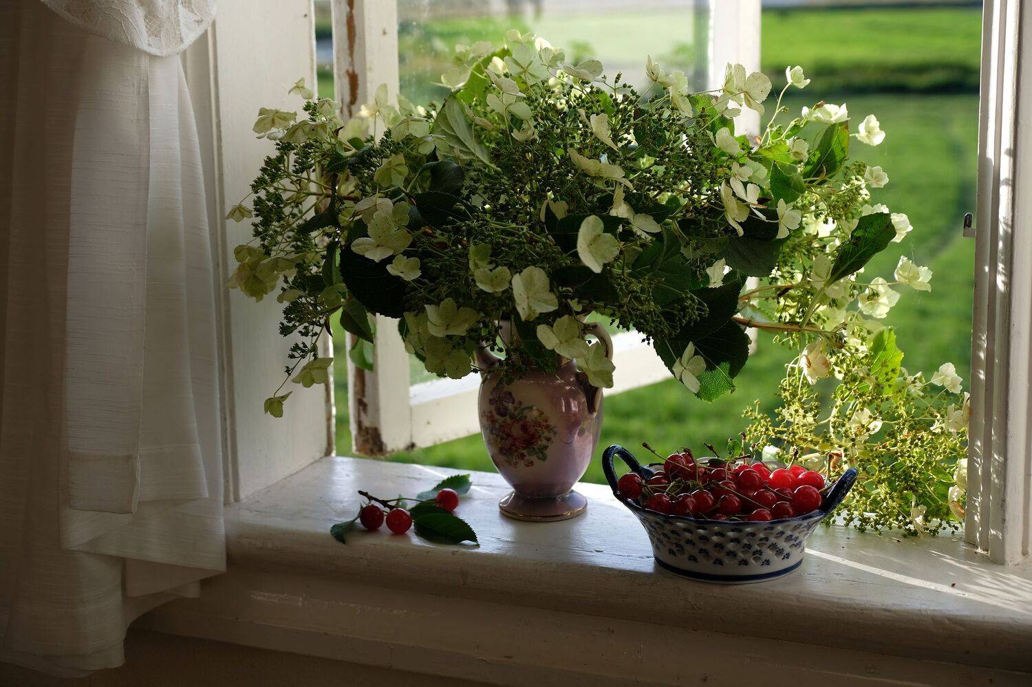 Still life, nature, flora, hops, cherry, berries, food, summer, colors, хмель, вишня, натюрморт, , Svetlana Povarova Ree