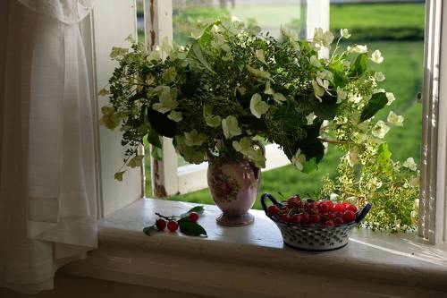 Хмель и вишня.