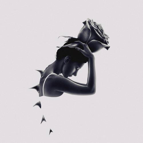 A Rose Among The Thorns