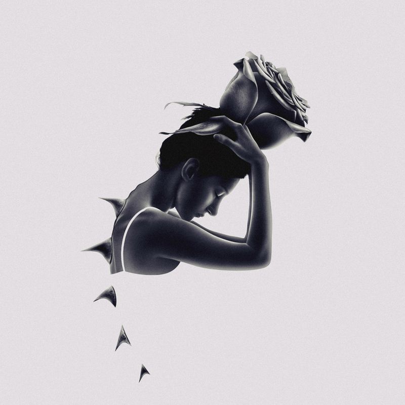 silhouette,dark,light,conceptual,art,fine art,creative edit,portrait,rose,thorns,arm,hand,surreal,minimalism A Rose Among The Thorns фото превью