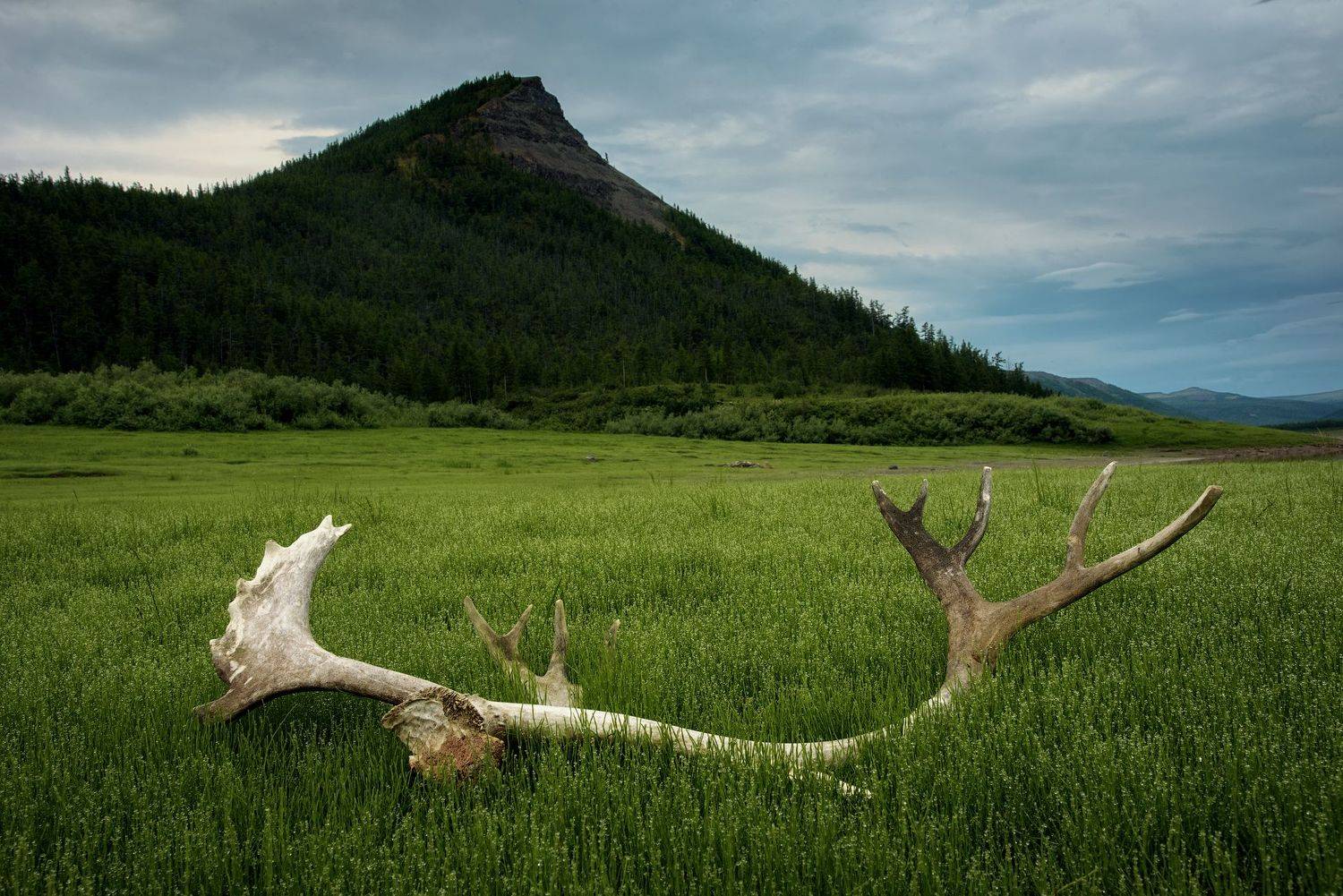 , Игорь Зубков