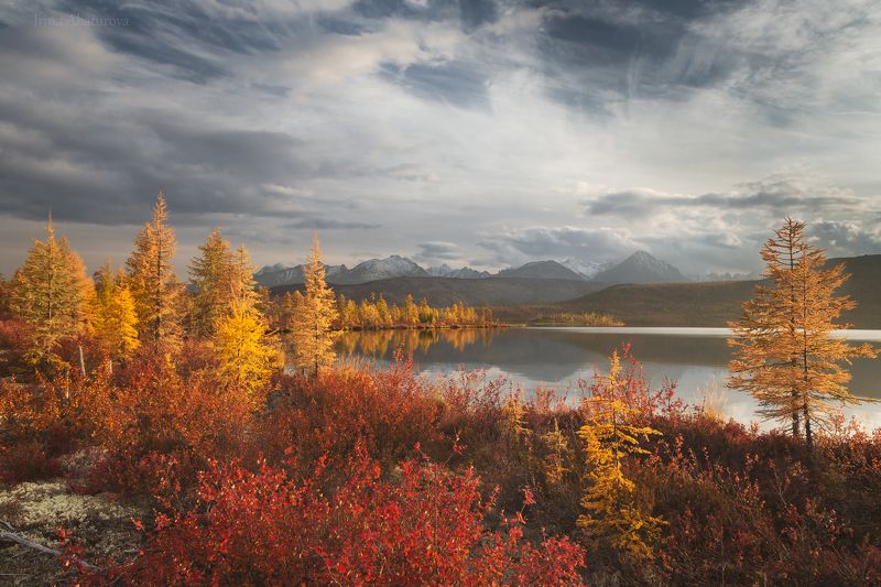Колыма, Магадан, озеро Джека Лондона, осень Вечер на озере Джека Лондона фото превью