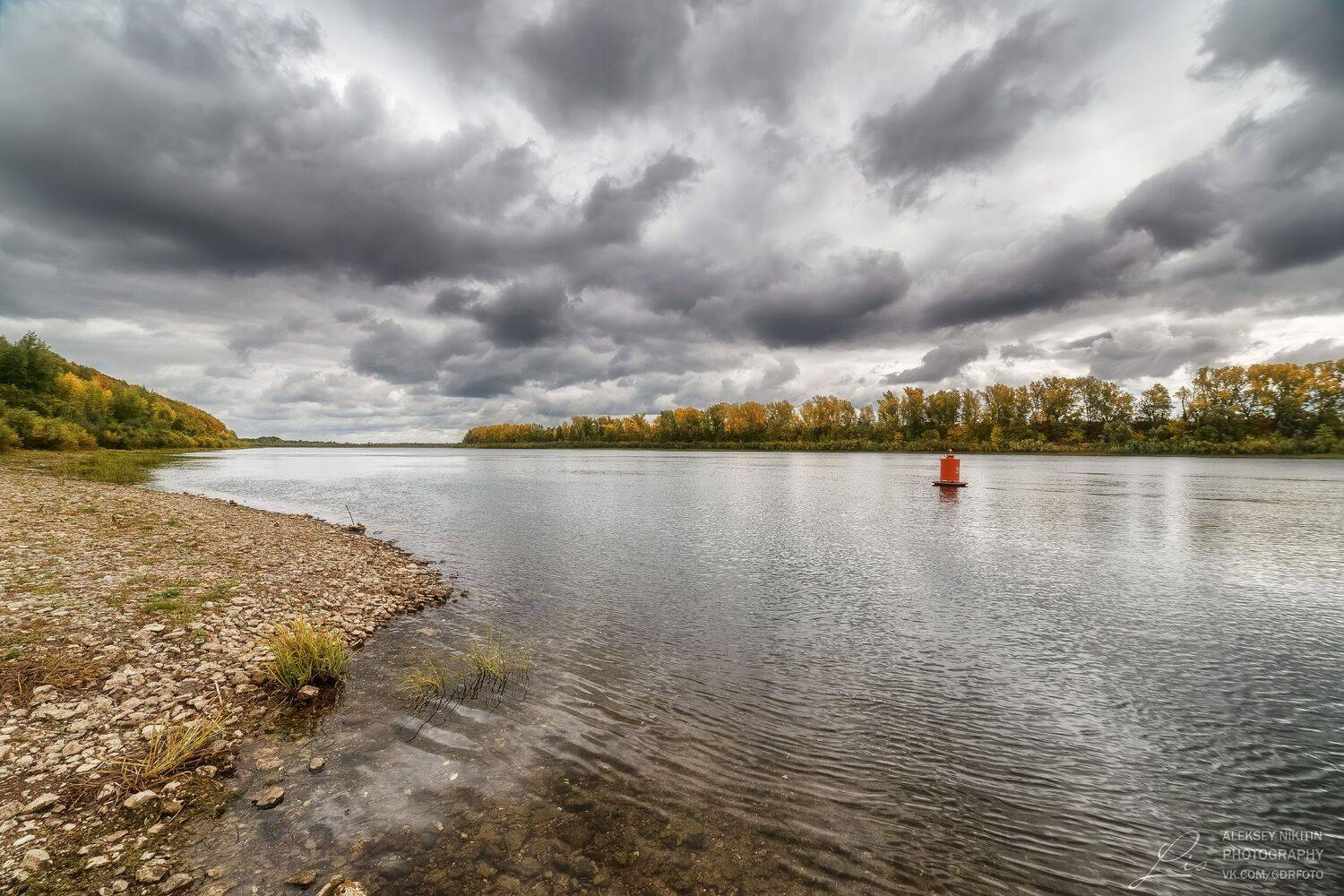 , Алексей Никитин