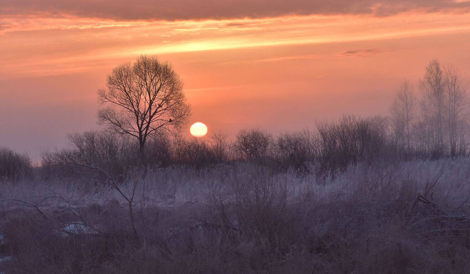 , Макеев Алексей