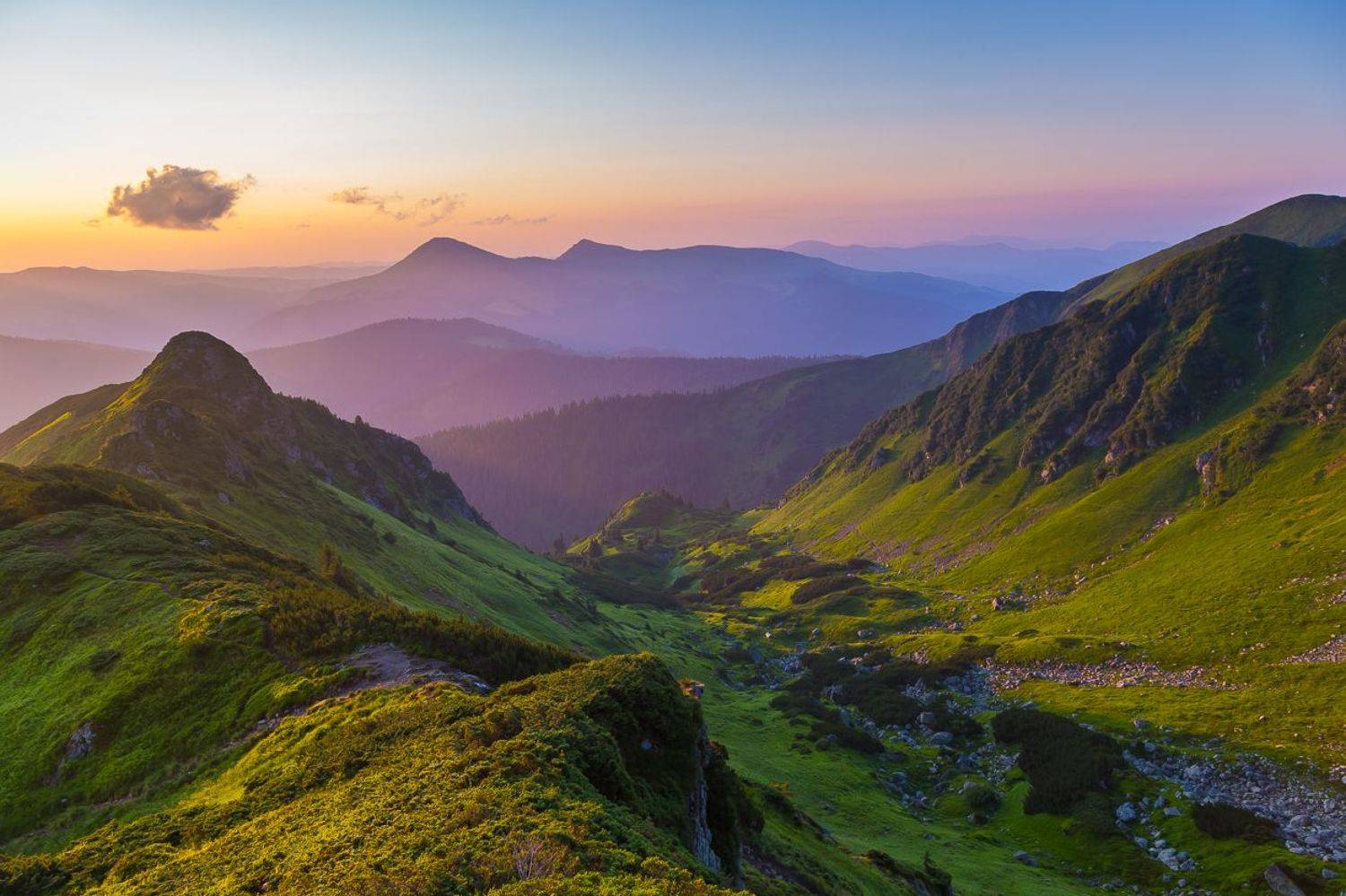 , Александр Подрез