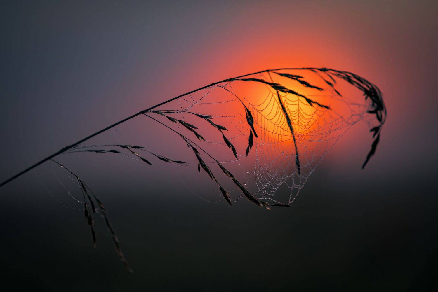 , Юрий Юрьев