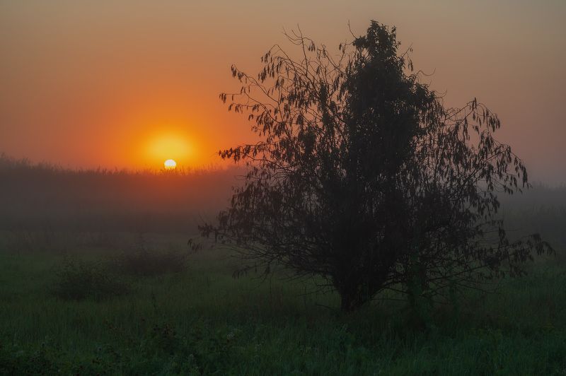 Foggy sunset. фото превью