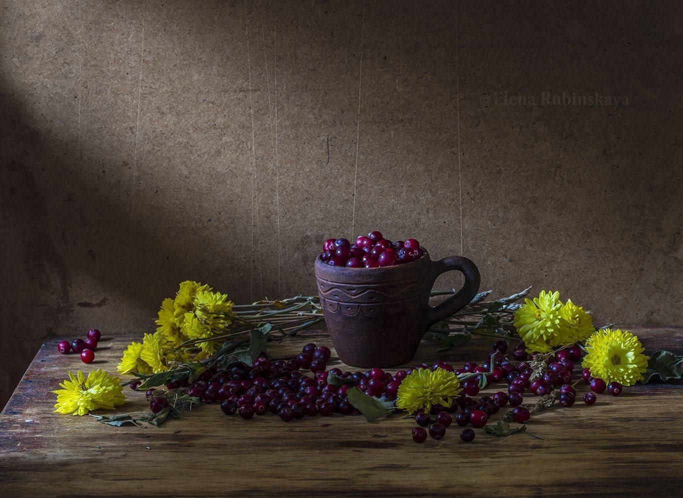 , Елена Рубинская