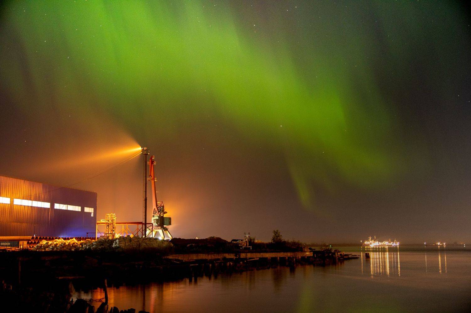 aurora, north, winter, frost, night, nightlights, sky, nightsky, light, Илья Тильман