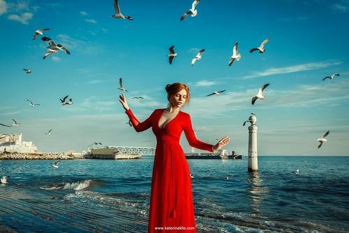 Gull
