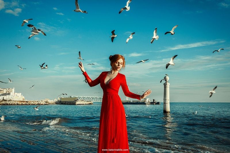 red, dress,woman, beauty, beautiful, gull, sea, ocean, wind, sun, girl, feeling, bird Gull фото превью