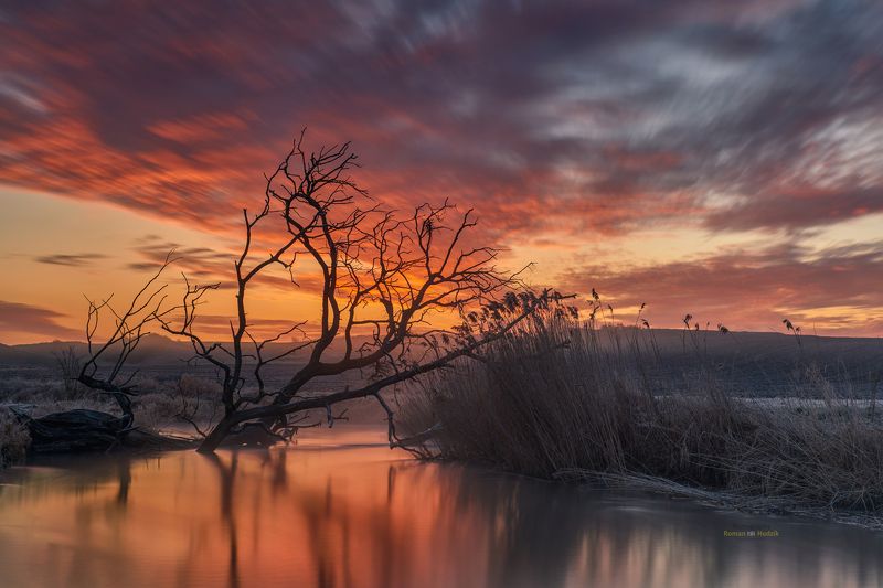 river, sunrise, Kociewie, Poland, colorful colors, tree, clouds The river meanders. фото превью