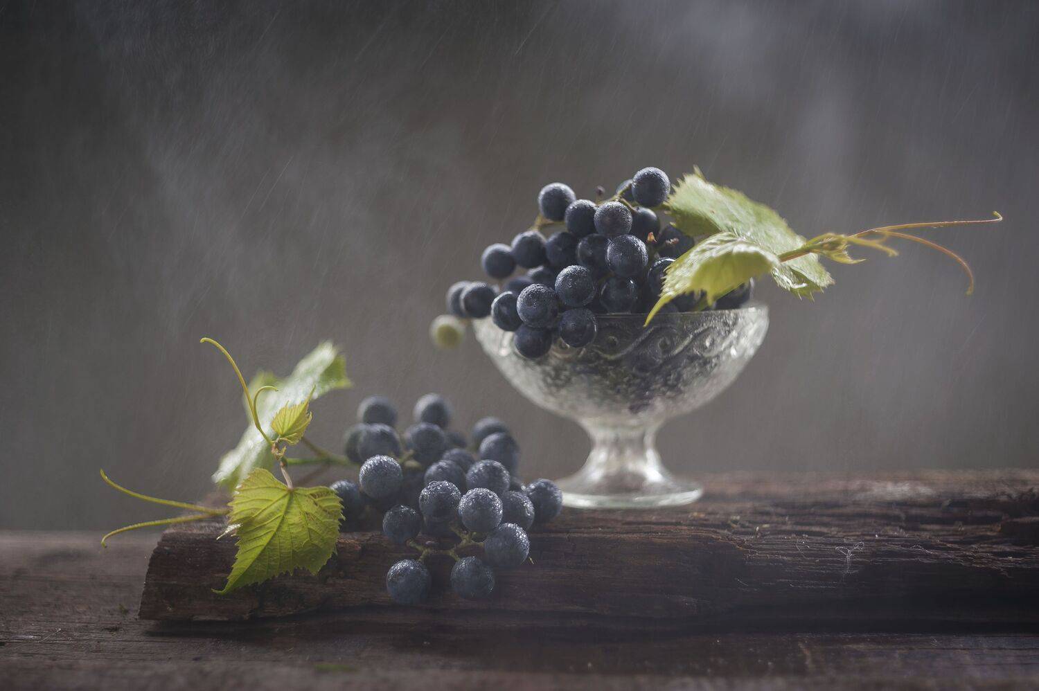 , Оксана Евкодимова