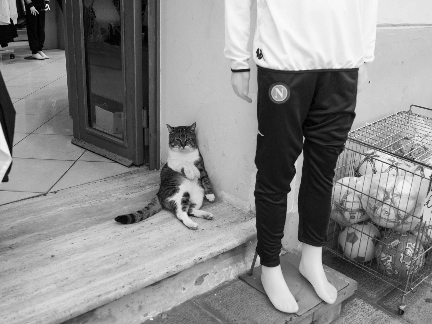 , Владислав