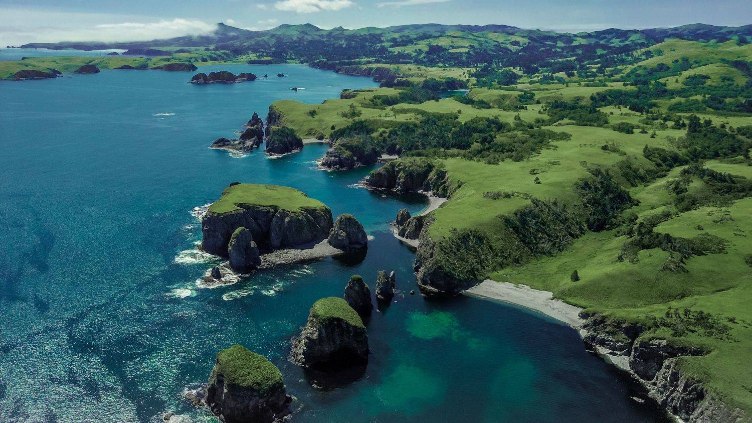 , Игорь Дудковский