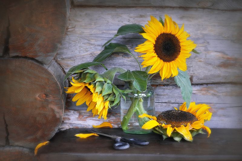 ПодСолнечный рай фото превью