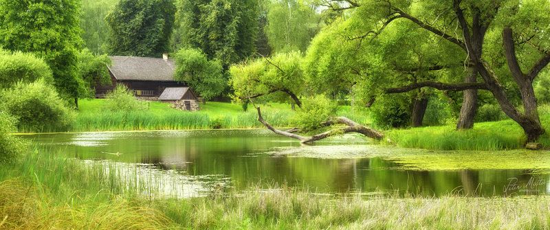#history, #belarus, #petermilto, #photography, #история, #беларусь Вязынка – зеленая сказка фото превью