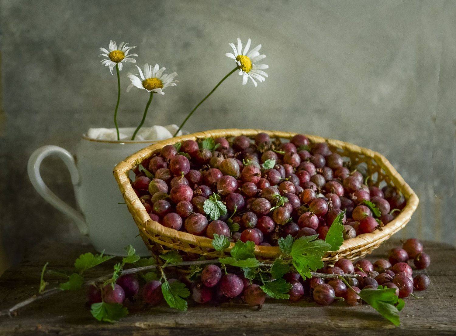 абстракция, фотография, натюрморт, ягоды, лето, крыжовник, сад, природа, фотонатюрморт, Валерий Верещако